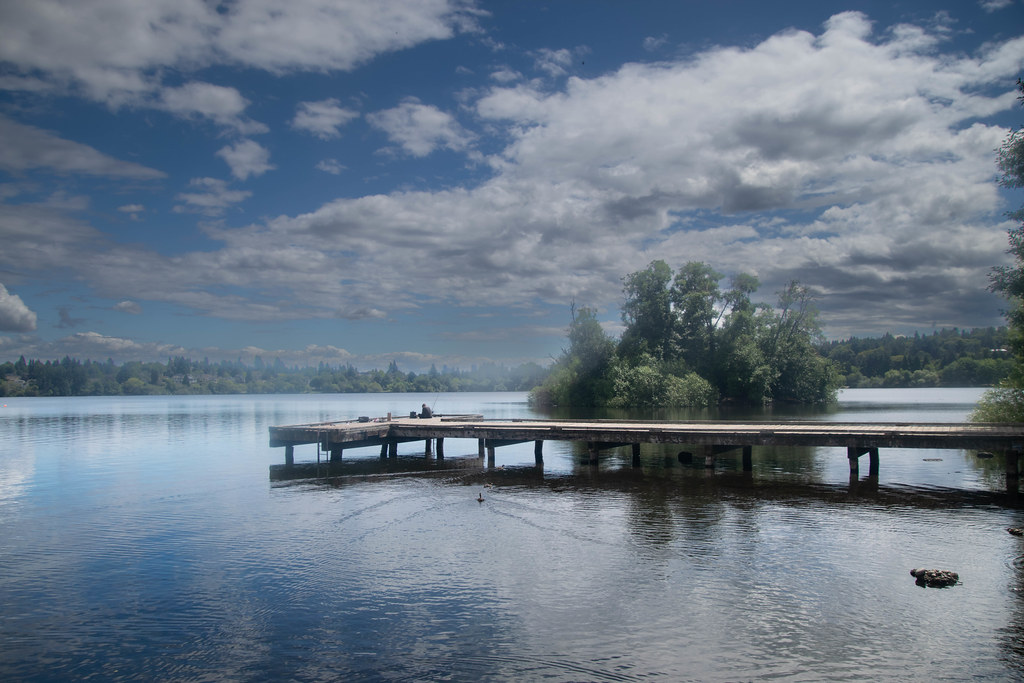 Summer Walk Around Green Lake Flickr