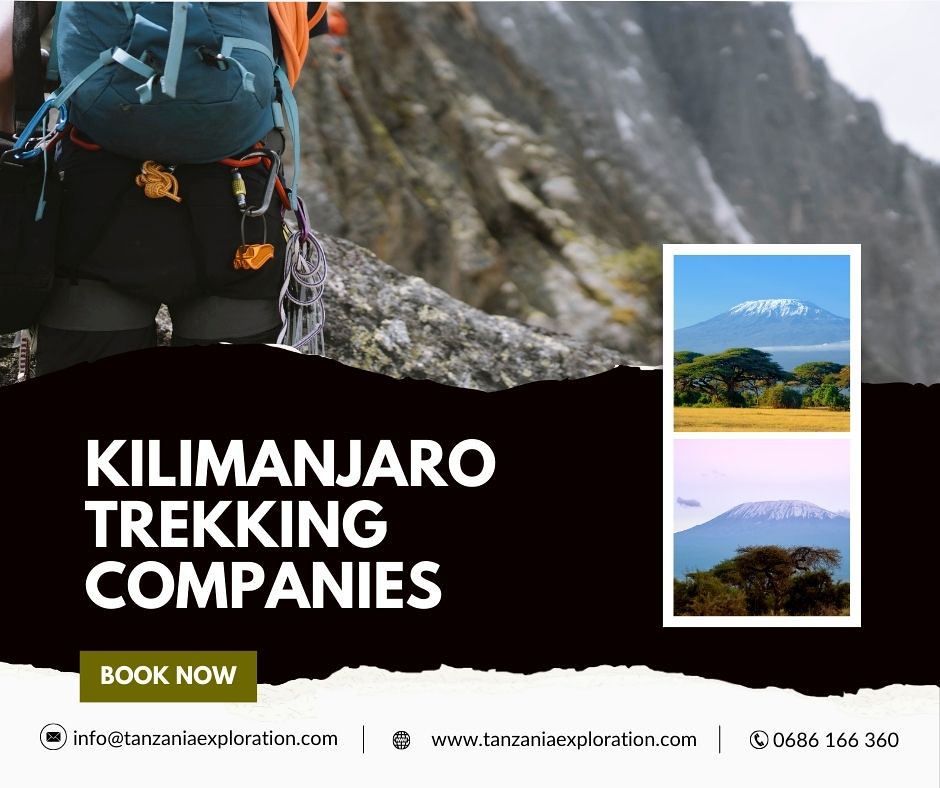 Book Kilimanjaro Trekking Companies 2 Choose the Finest … Flickr