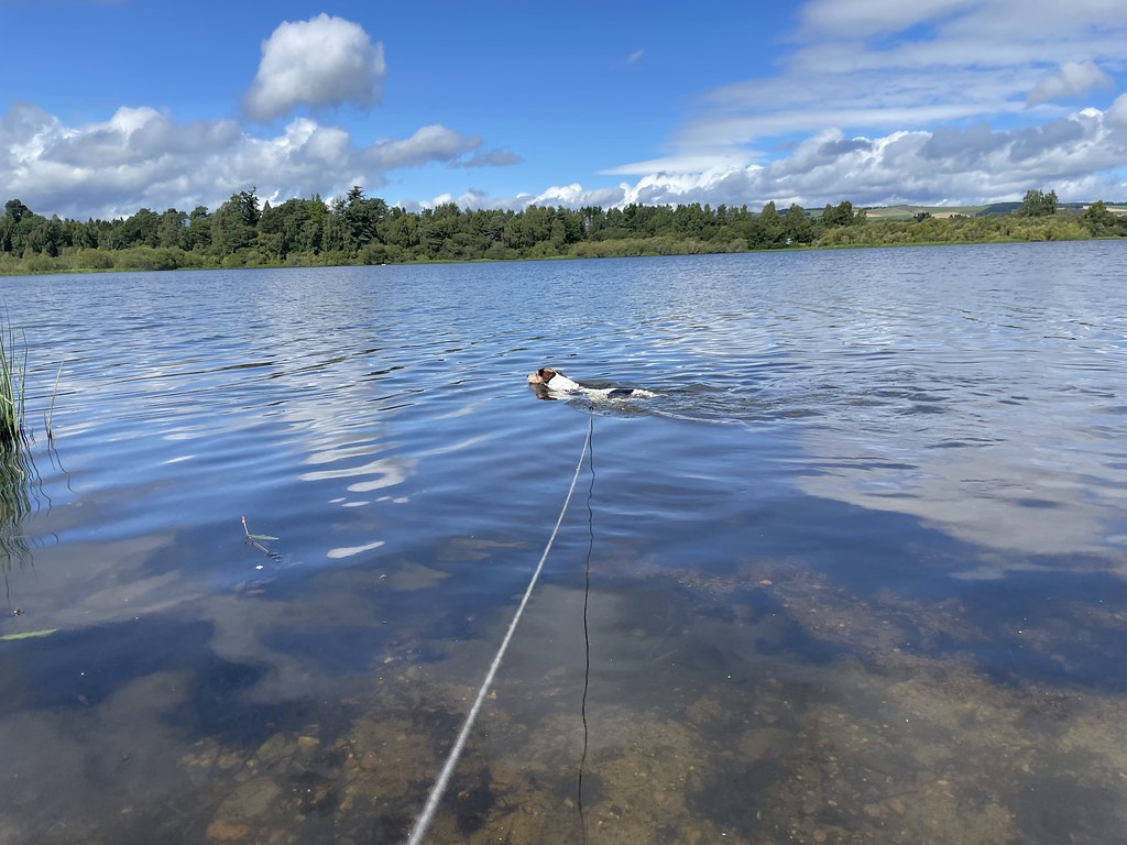 Untitled Lee Simpson Flickr