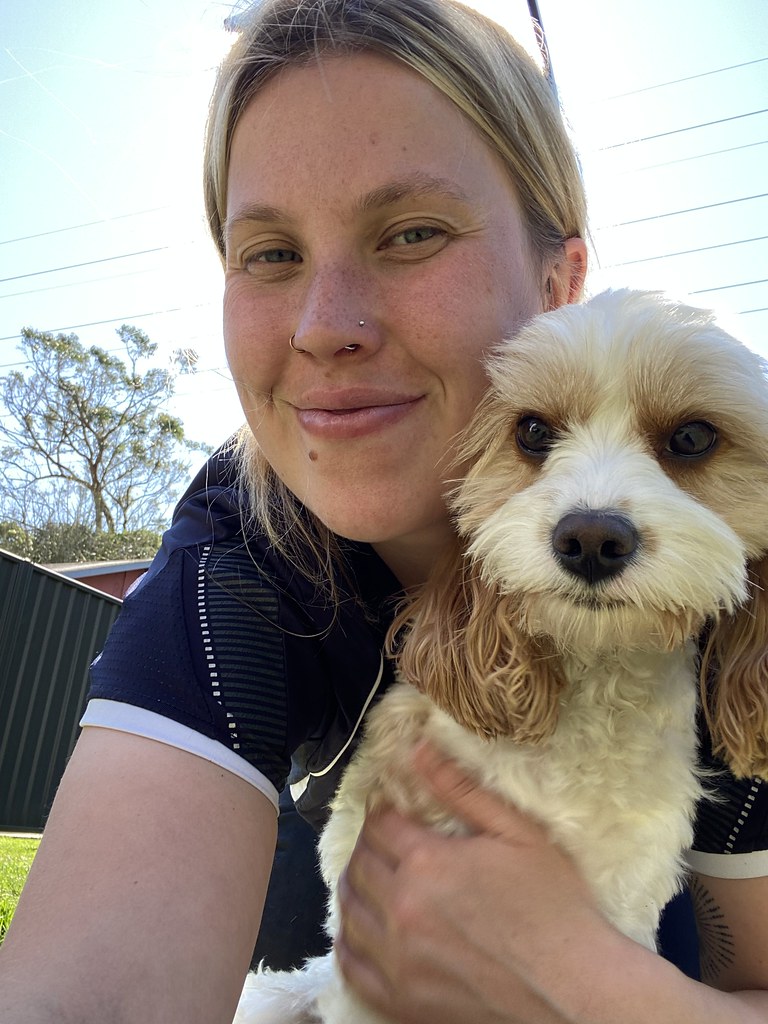 Littles Doggy Daycare 23.08.23 Pet Resorts Australia Dural Flickr