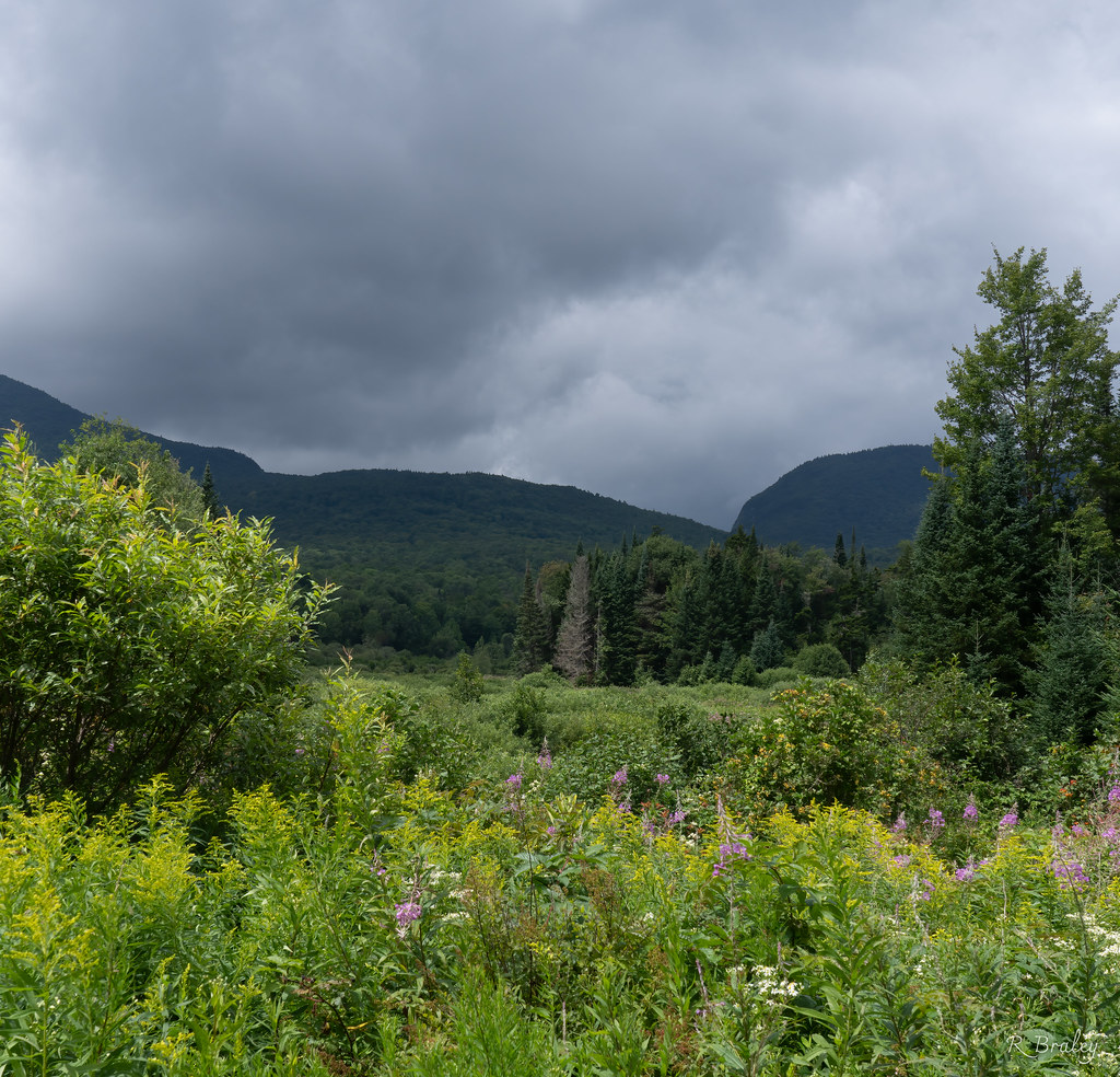 Hazen Notch, Lowell, Vermont Once again, the clouds on thi… Flickr