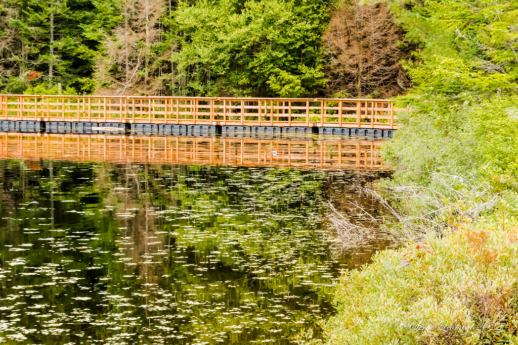 230825 Parc ECO Laurentides (CTEL) StFaustinLac Carré … Flickr