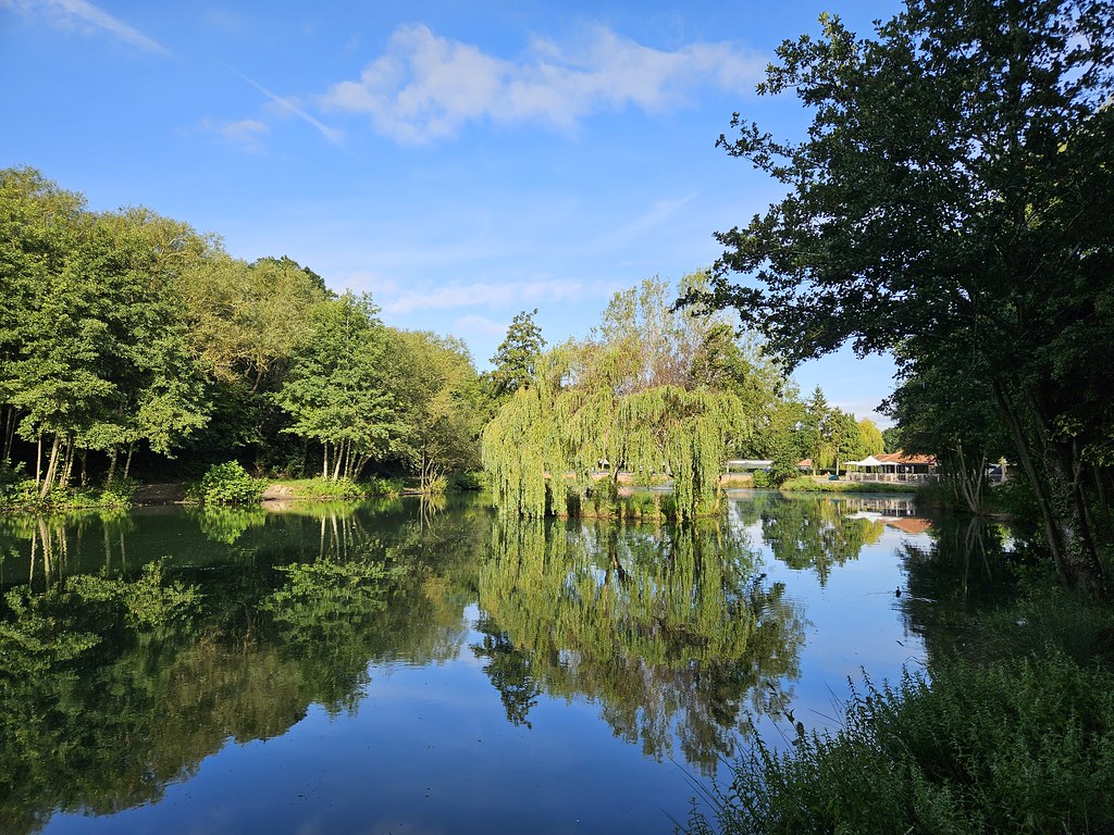 Maythorne Lake Southwell Ryan Tranmer Flickr