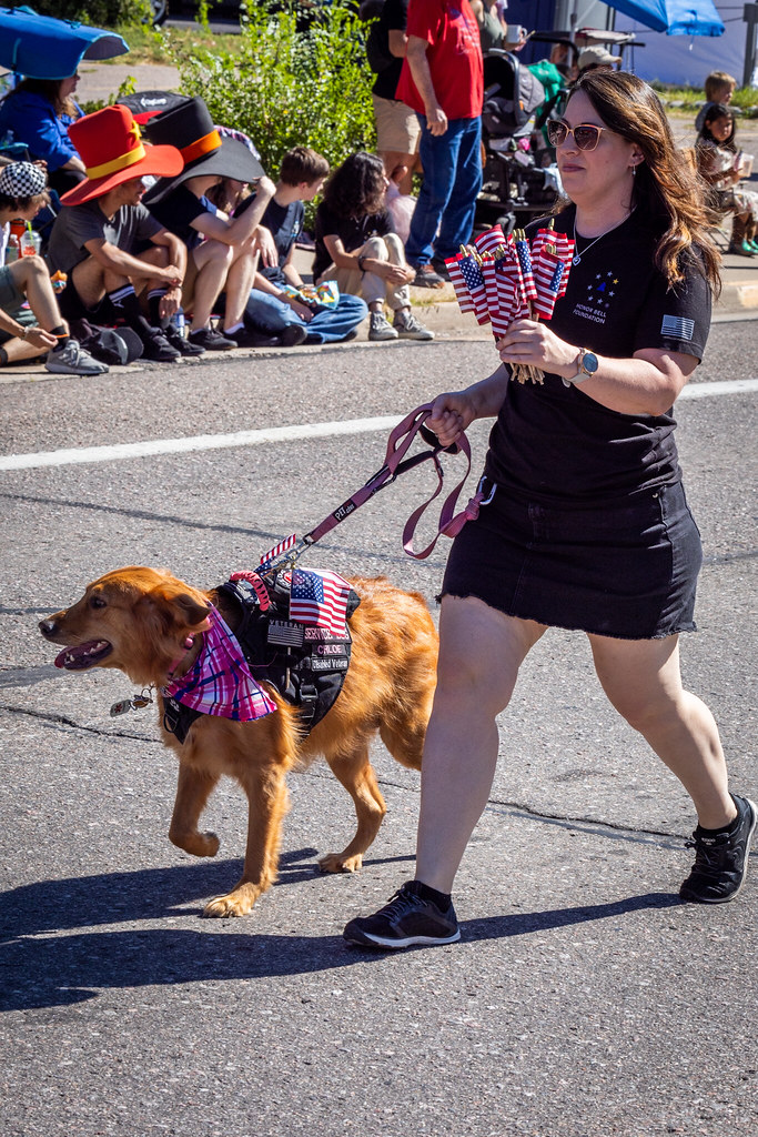 Disabled Vet Service Dog Dave Alderson Flickr