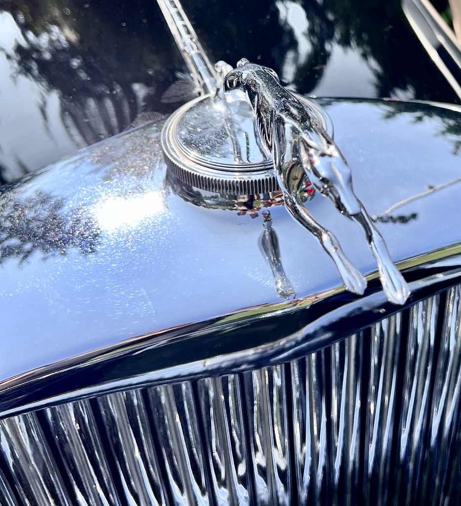 Jaguar. Lake Oswego Classic Car & Wooden Boat Show. August… Flickr