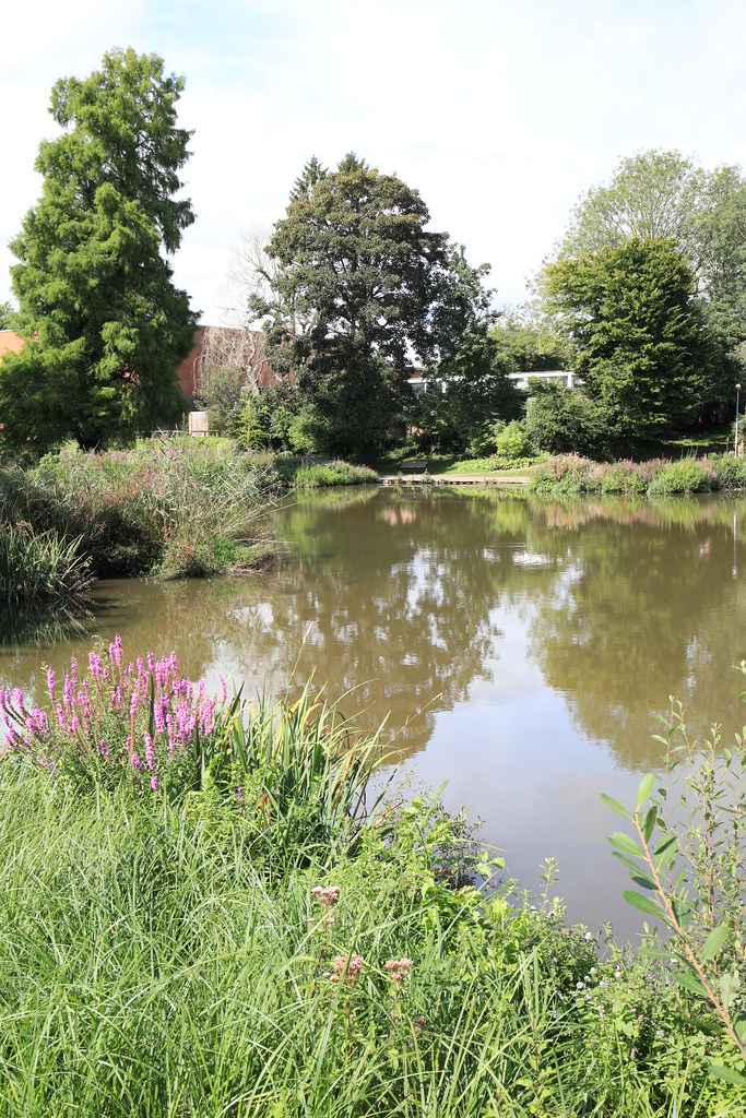 0D5A8239 South Ponds 28 August 2023 Nicktor Hugo Flickr