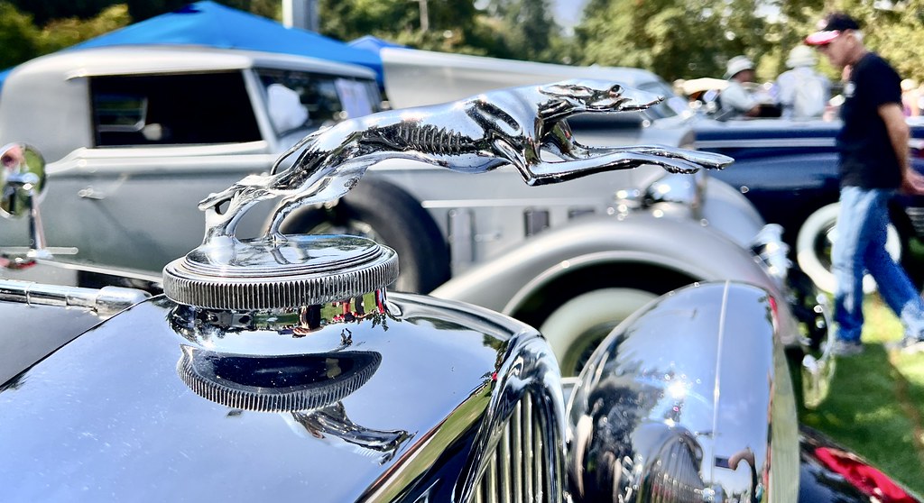 Jaguar. Lake Oswego Classic Car & Wooden Boat Show. August… Flickr