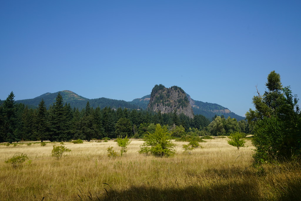 Beacon Rock Doetsch Walking Path Beacon Rock SP Skamania… KLB2305