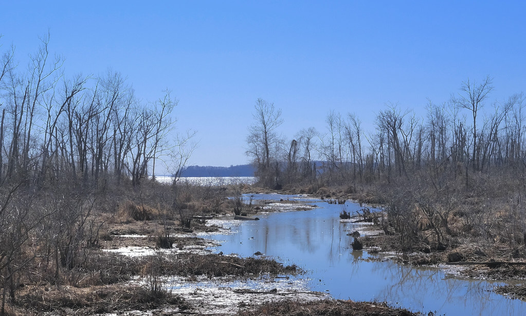 Occoquan Bay National Wildlife Refuge A view from Easy Roa… Flickr