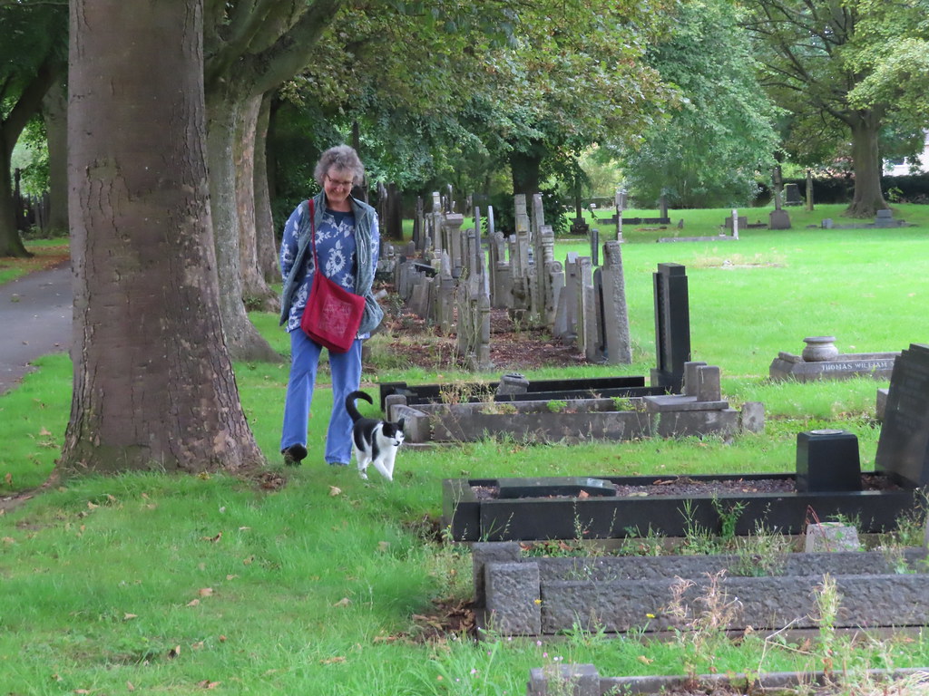 York Road Cemetery, Church Gresley with feline guide Flickr
