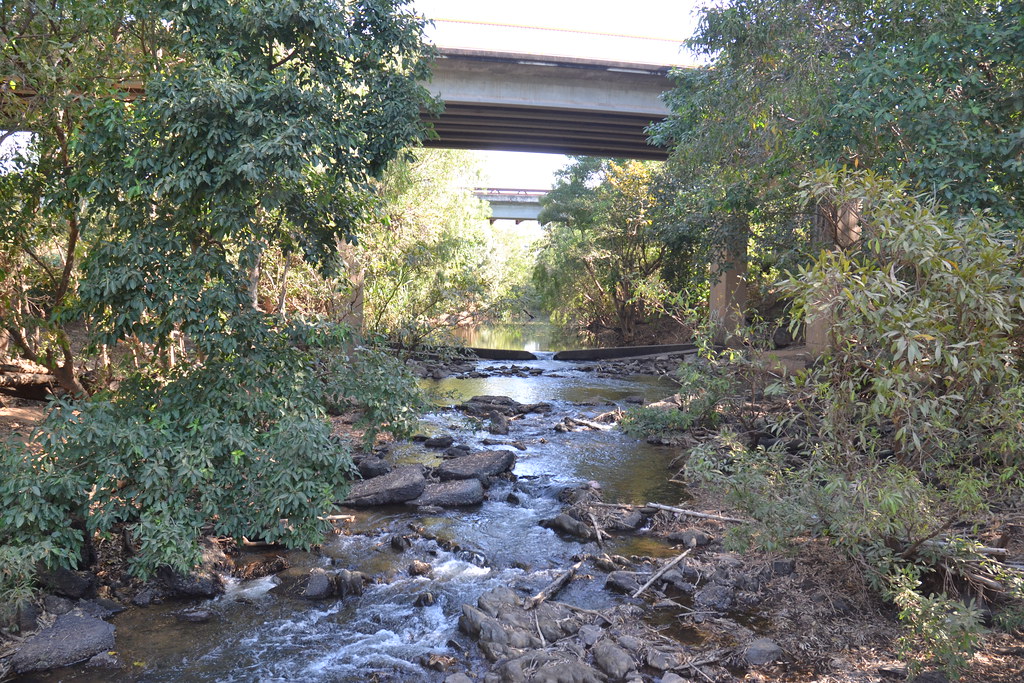 Adelaide River NT July 2023 2605 Adelaide River NT July 20… Flickr