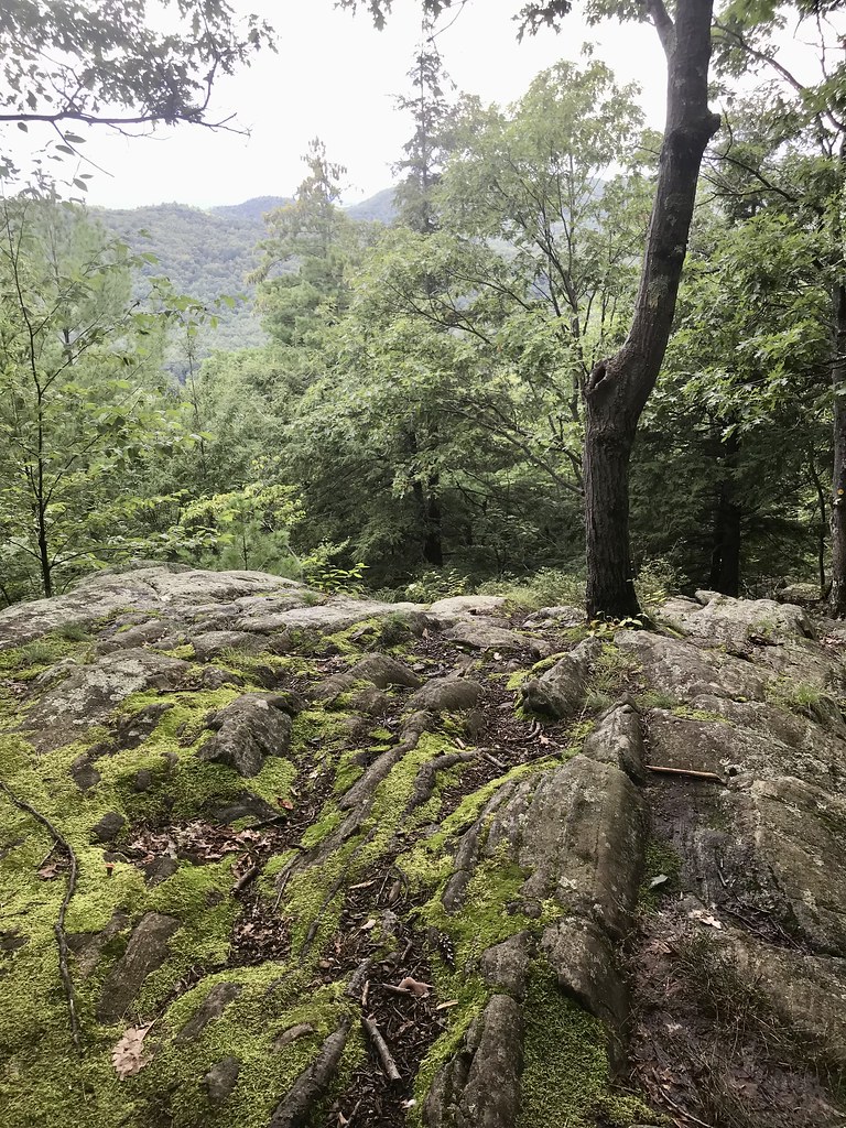 Western Ridge Trail, Moreau Lake State Park, Aug. 2023 Flickr