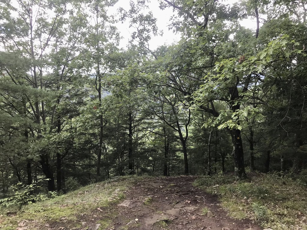Western Ridge Trail, Moreau Lake State Park, Aug. 2023 Flickr