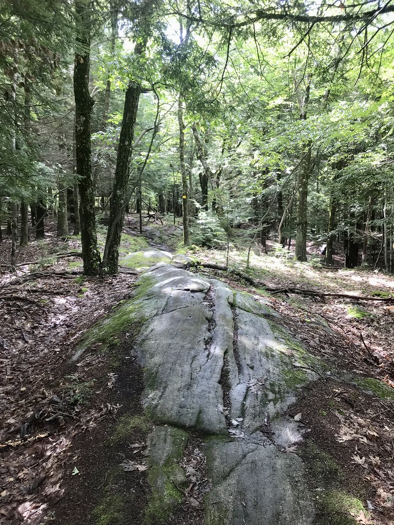 Western Ridge Trail, Moreau Lake State Park, Aug. 2023 Flickr