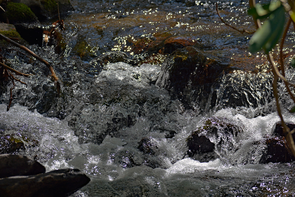 DSC_23152R1 Bubbling Stream The beauty and chaos of flowi… Flickr
