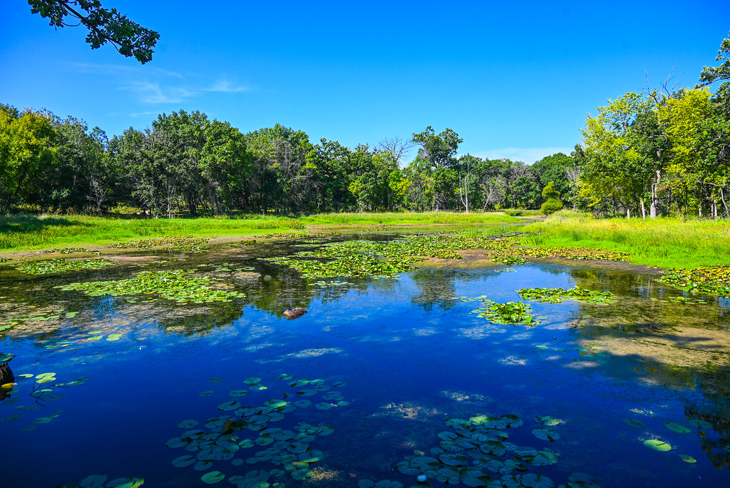 Lake Elmo Park Reserve One of a series of small lakes that… Flickr