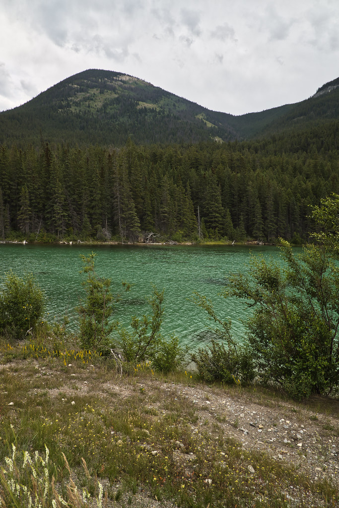 Emerald Pond, Alberta Dave Williams Flickr