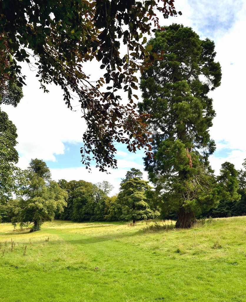 Greenhall Park Blantyre James Brown Flickr