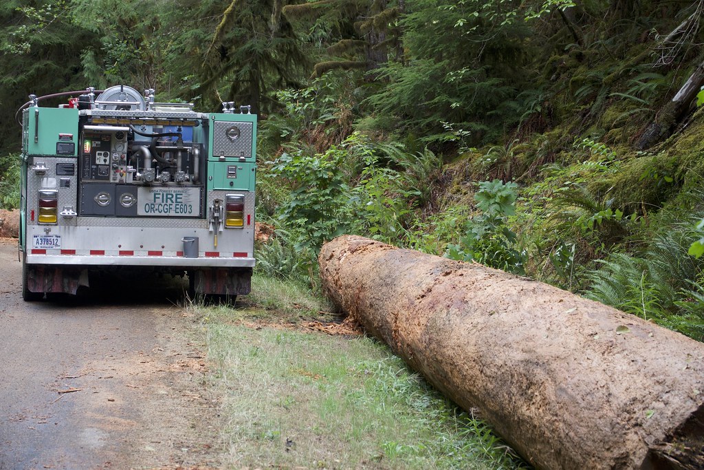 DSC04568 | U.S. Forest Service wildland fire engine with lar… | Flickr