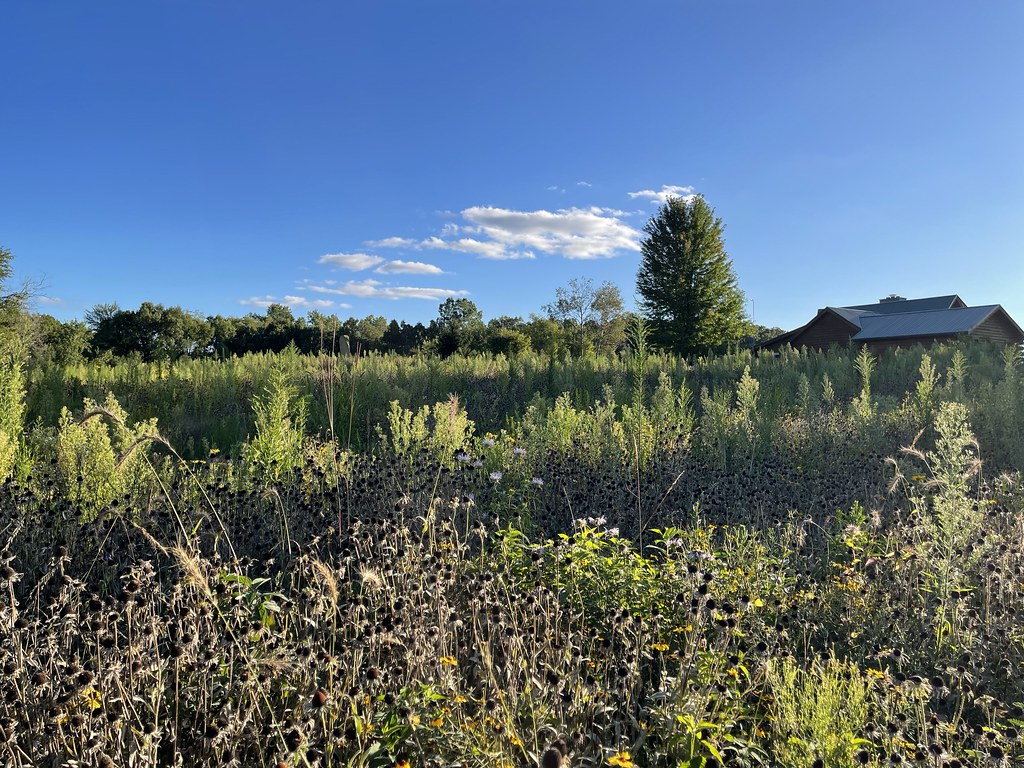 IMG_4976 John Blair Flickr