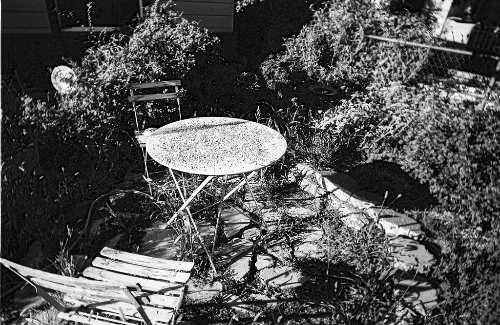 bird seed From Fuji Acros II pushed t… Flickr