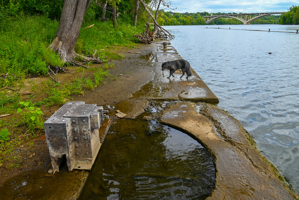 Cooling off in the ruins of the Meeker Island Lock and Dam… Flickr