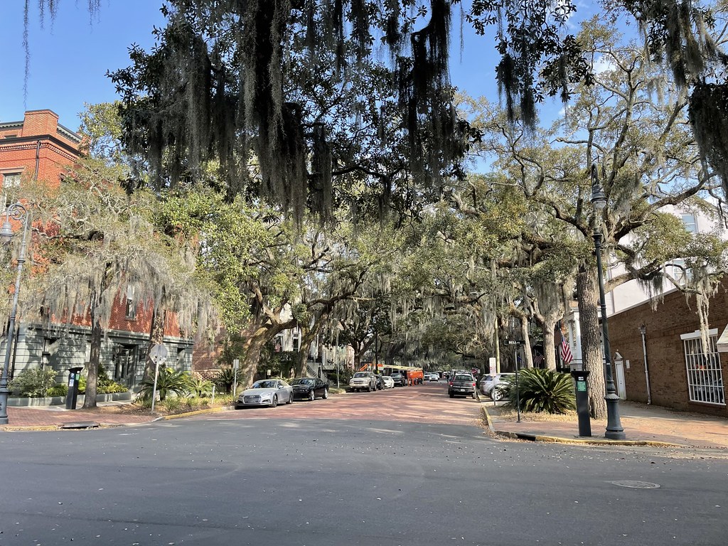 Savannah, E Jones Street Austin Dodge Flickr