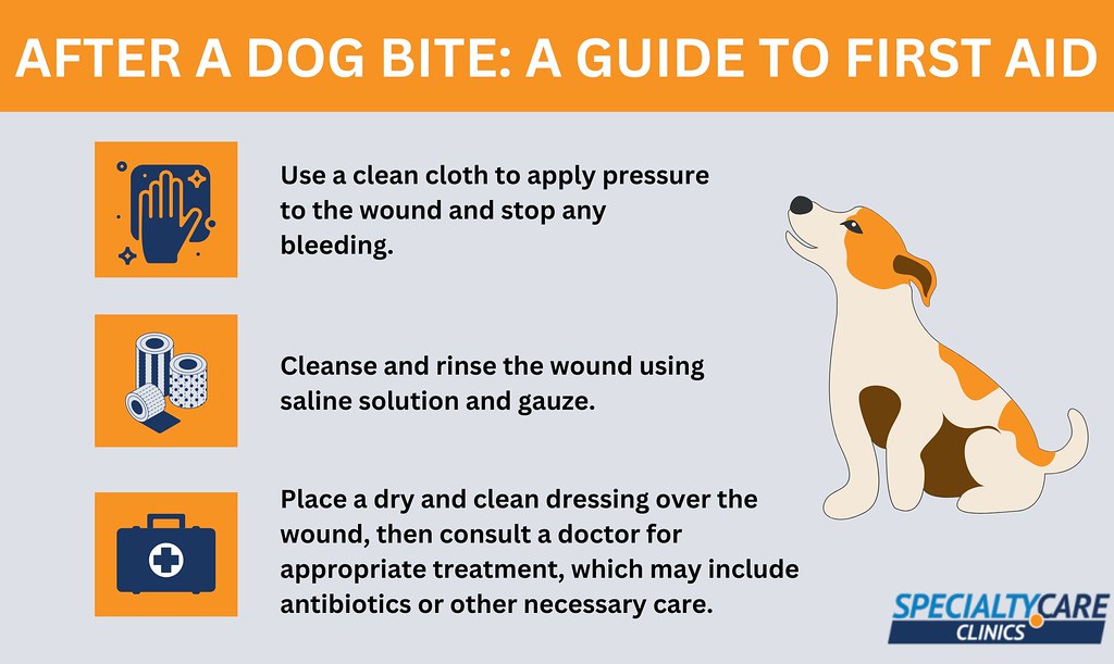 Quick Response to Dog Bite Wound Care and Safety Discover… Flickr