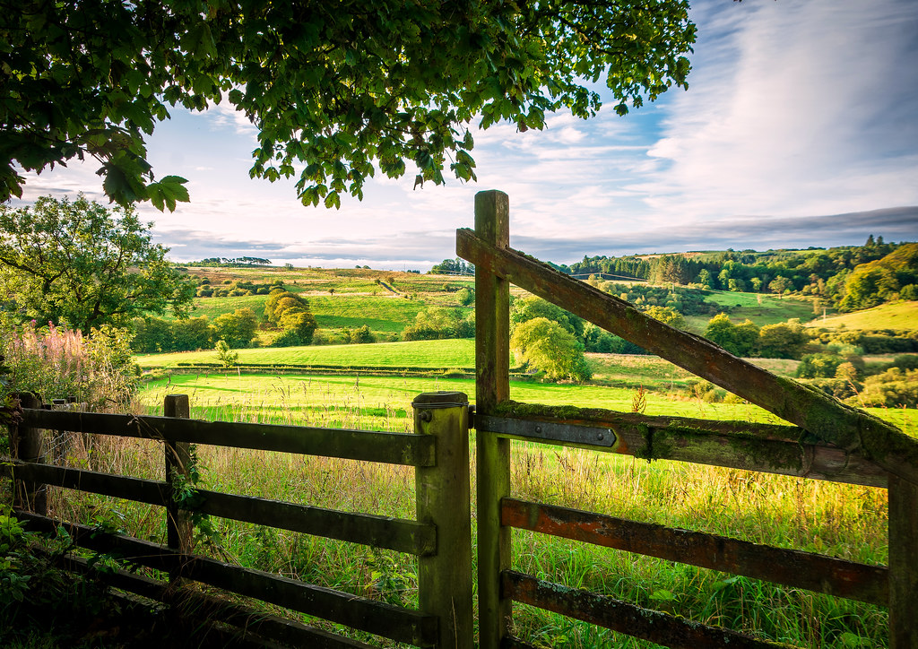Rolling fields through a gate, Newton of Belltrees, Lochwi… Flickr