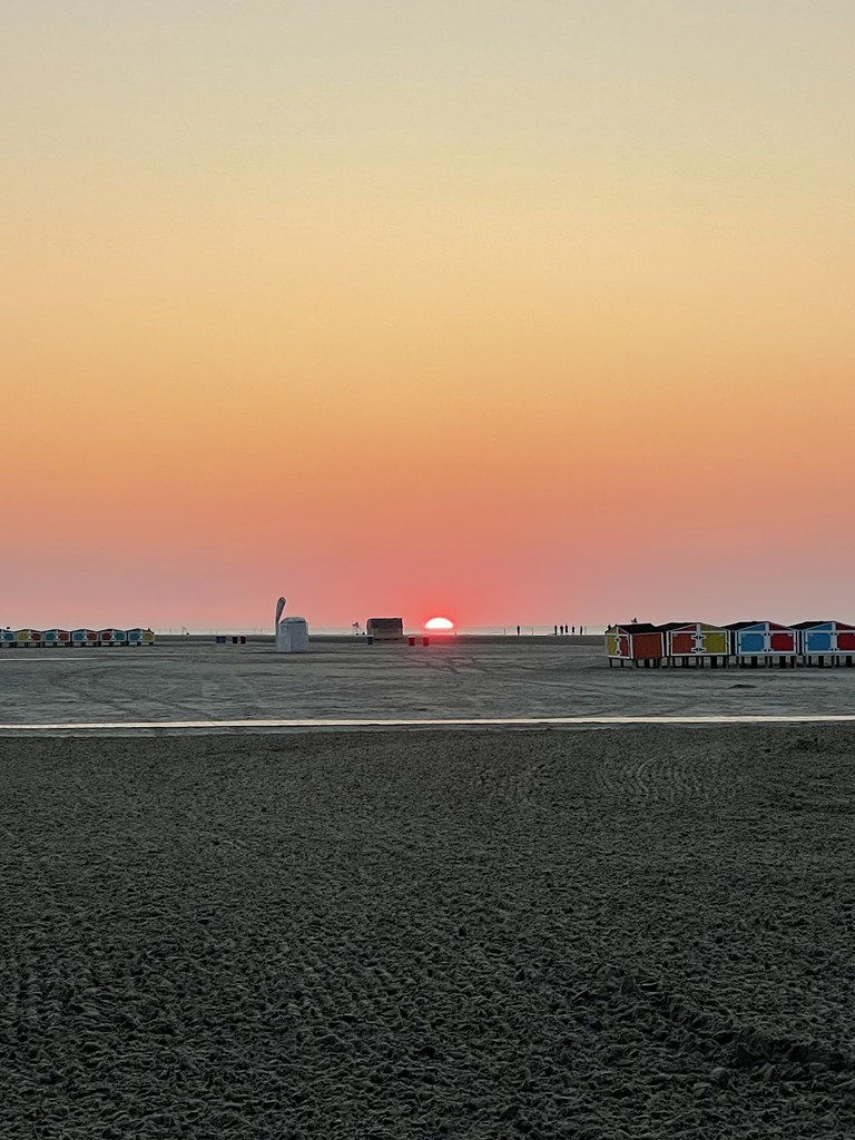 IMG0348 Zoe Reed Flickr