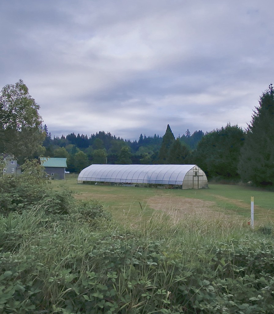 IMG_3091.JPG Machias, WA View from Centennial Trail lookin… Flickr
