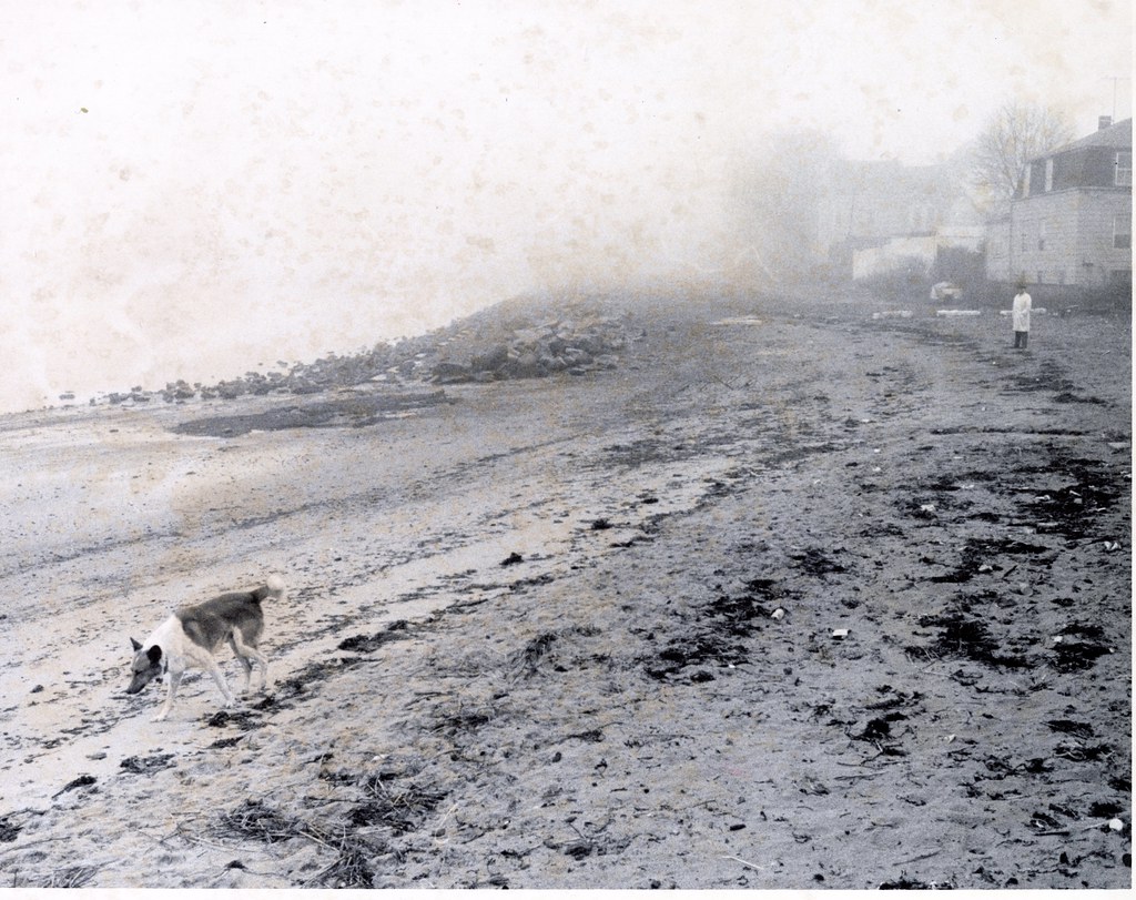 Collins Cove Collins Cove b Street Salem, Massachusetts… Flickr