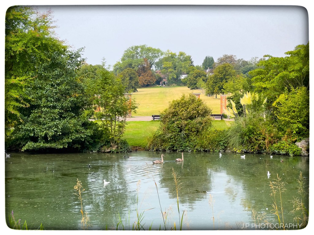 Todays walk around Broomfield Park. Jack Pourgourides Flickr
