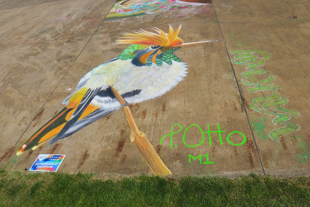 Bird, Wausau, WI Sidewalk chalk art portrait of a bird, se… Flickr