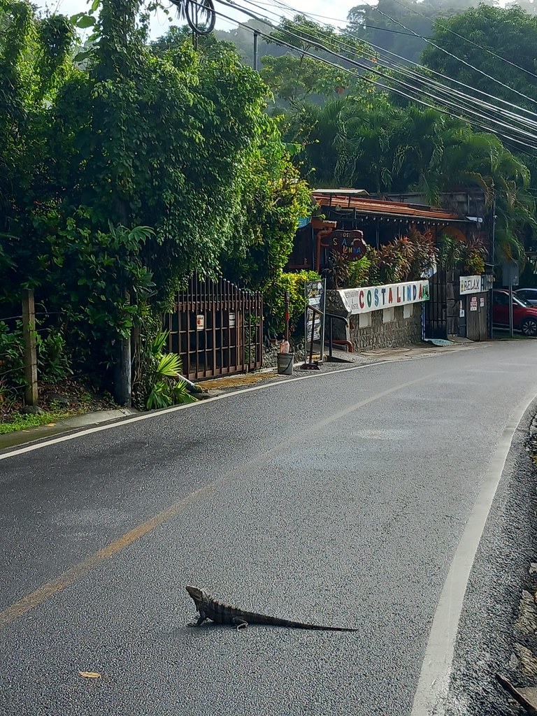 Manuel Antonio Drake Bay Uvita Anna Engeler Flickr