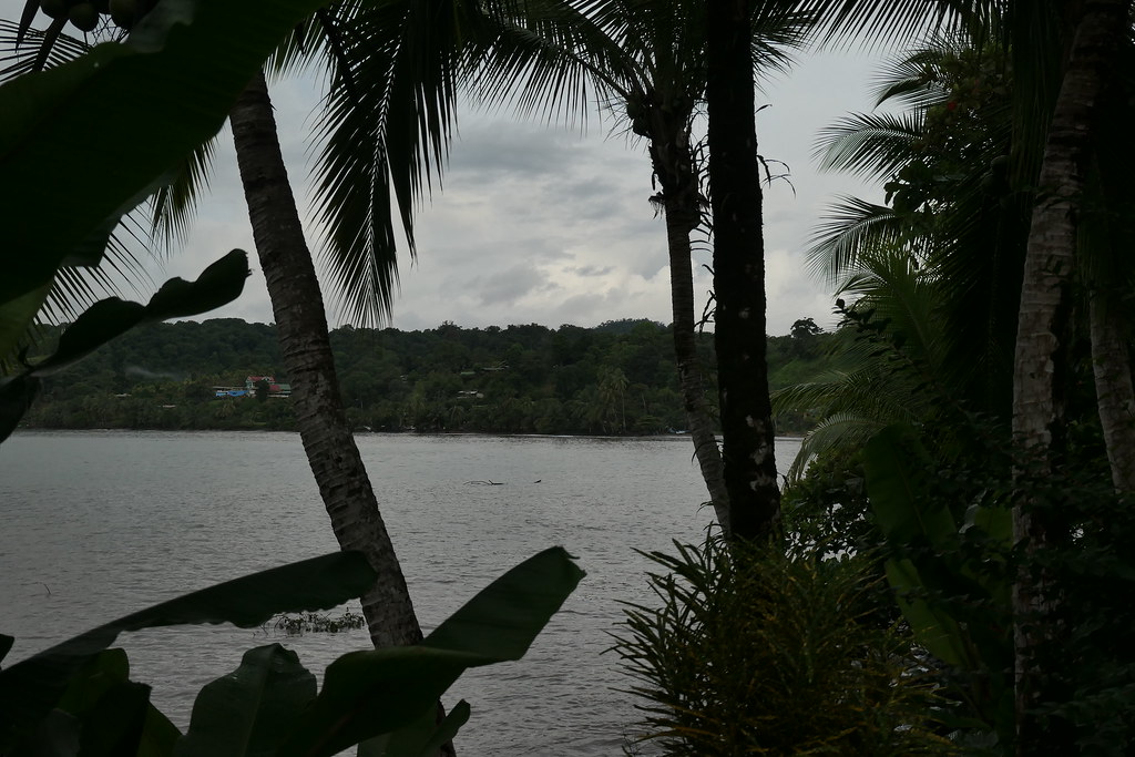 Manuel Antonio Drake Bay Uvita Anna Engeler Flickr