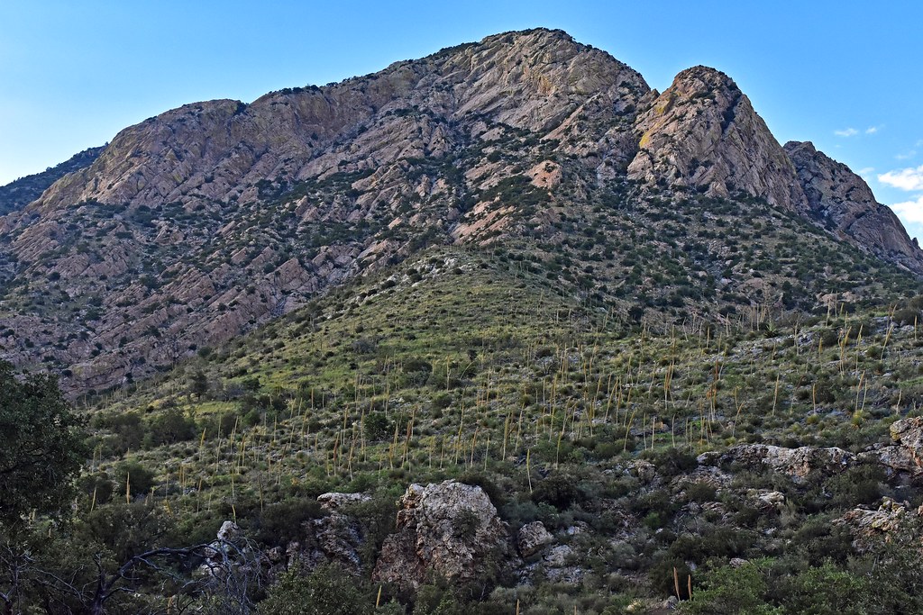 Montezuma Peak Coronado National Memorial, AZ Max Roberts Flickr