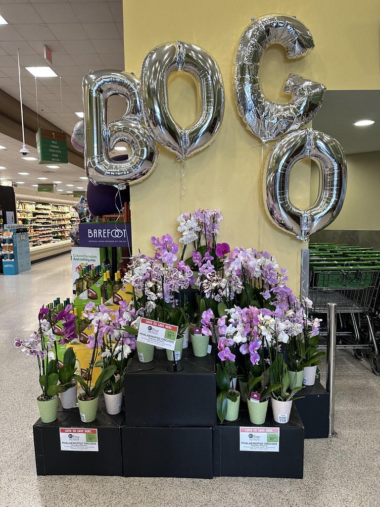 BOGO Publix Phillip Pessar Flickr