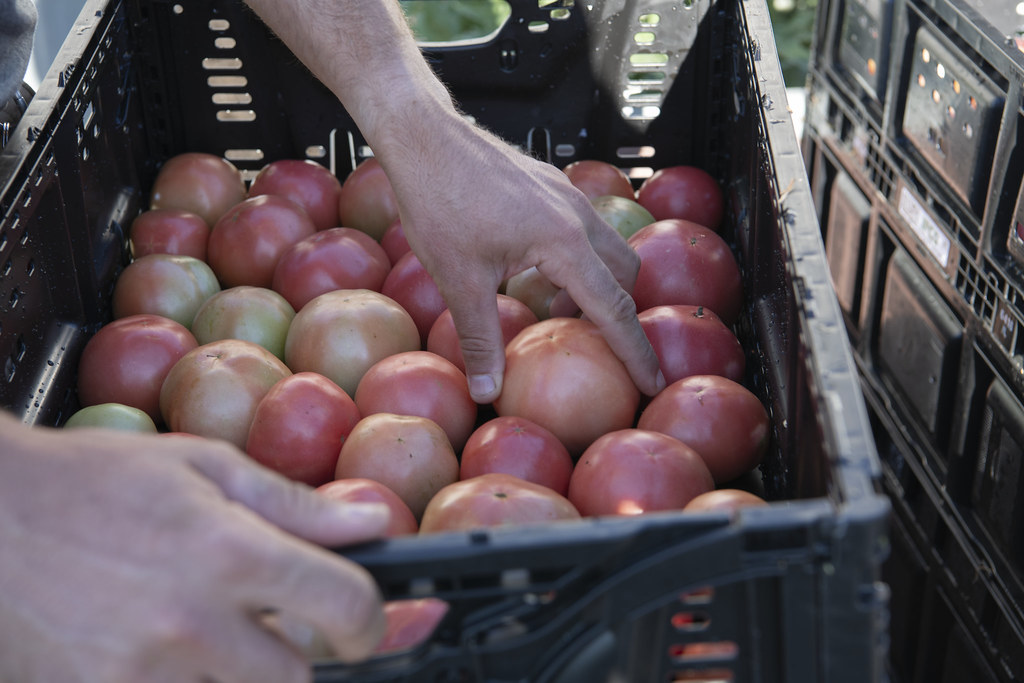 20230831NRCSJC0004CCUP NRCS Missouri Flickr