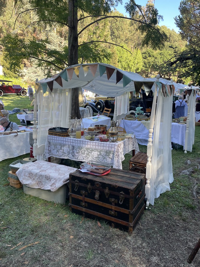 Mystery Picnic 2023 Gatsby Summer Afternoon chx27 Flickr