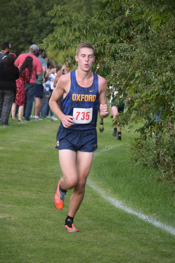 DSC_8198 Stanley Ford Flickr