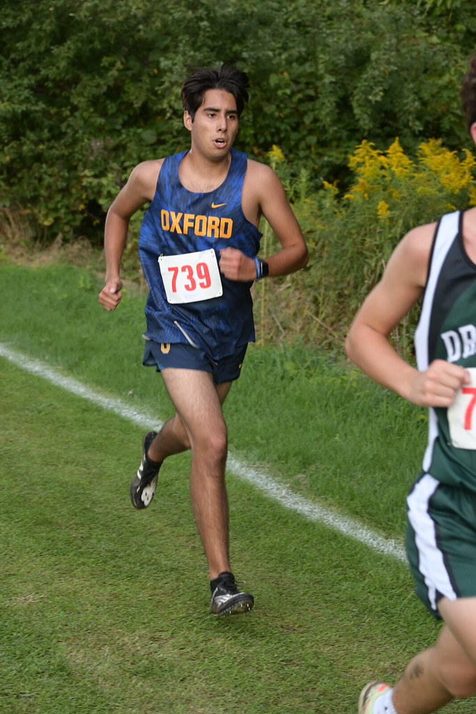 DSC_8207 Stanley Ford Flickr