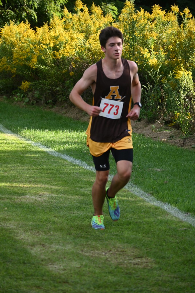 DSC_8144 Stanley Ford Flickr