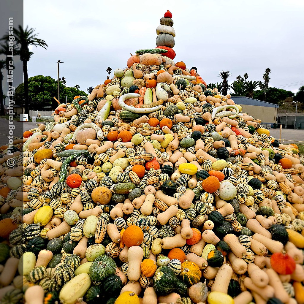 Baker Creek Heirloom Expo Squash Mountain Marc Langsam Flickr