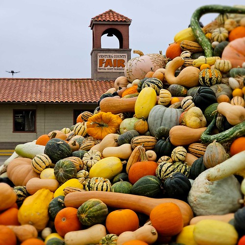 Baker Creek Heirloom Expo Squash Mountain Marc Langsam Flickr
