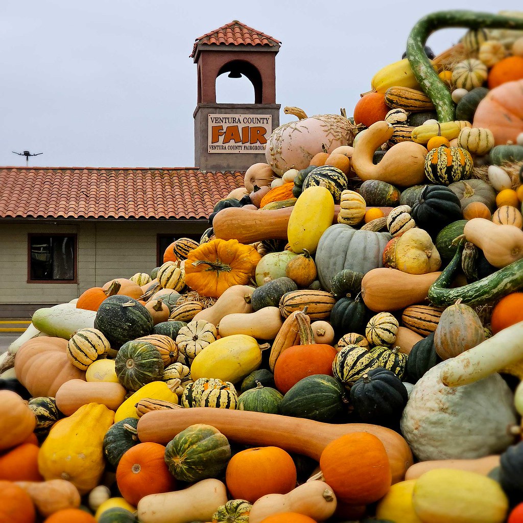 Baker Creek Heirloom Expo Squash Mountain Marc Langsam Flickr