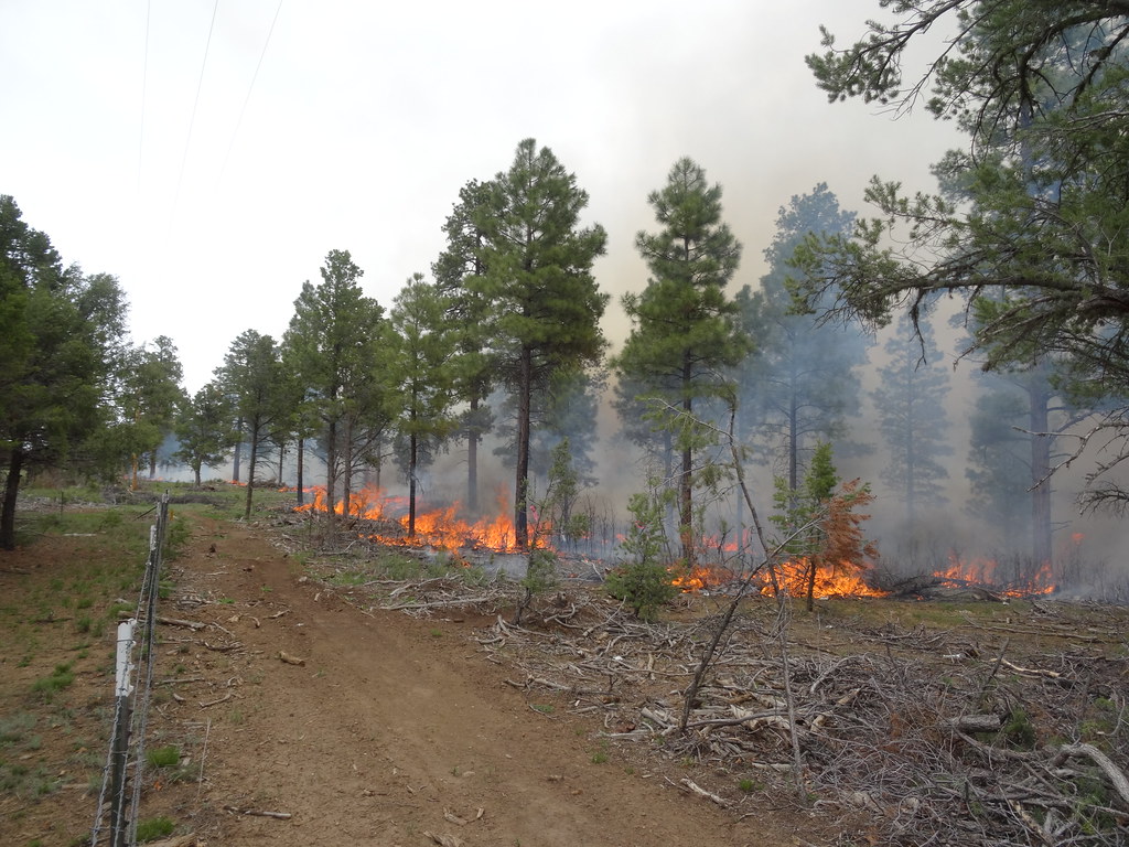  Prescribed Fire Community Meeting in Canjilon, N.M. NM Fire Info