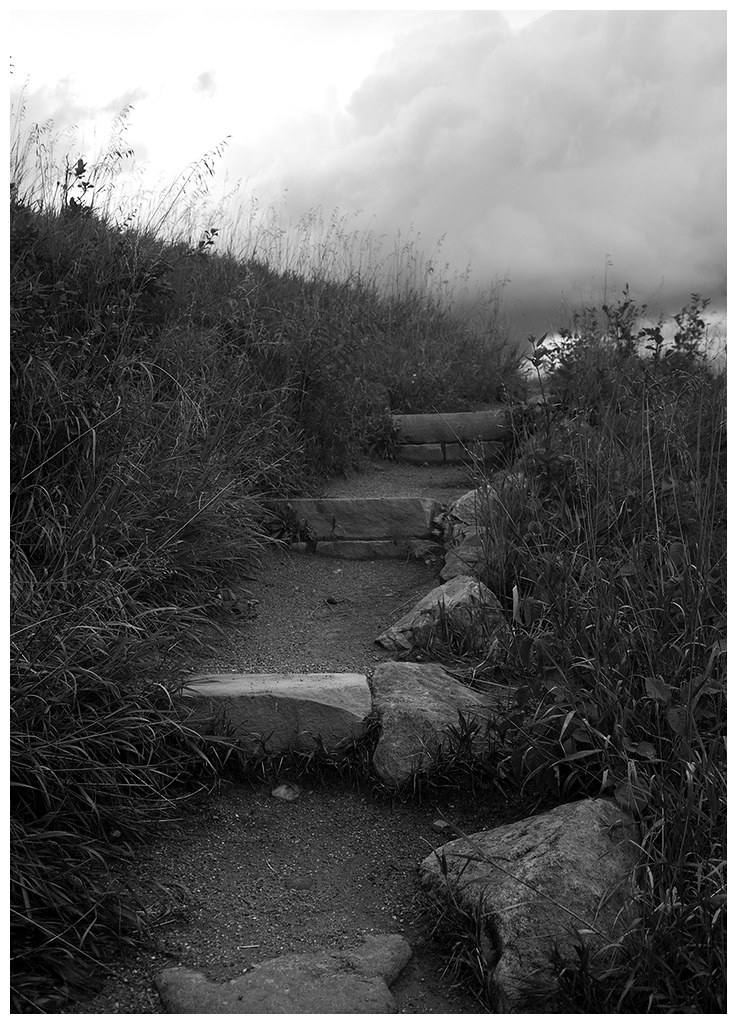 TrailSteps Bradley Clemens Flickr