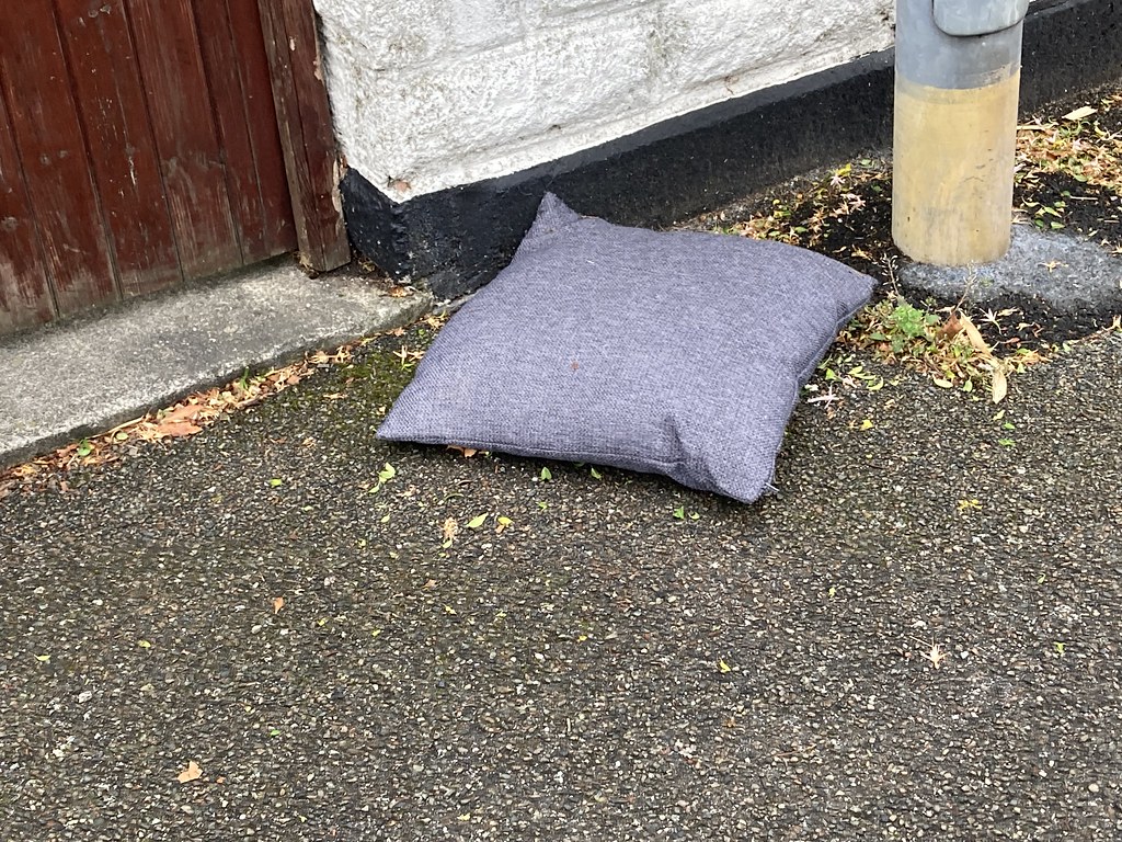 Unwanted cushion. John D Durrant Flickr