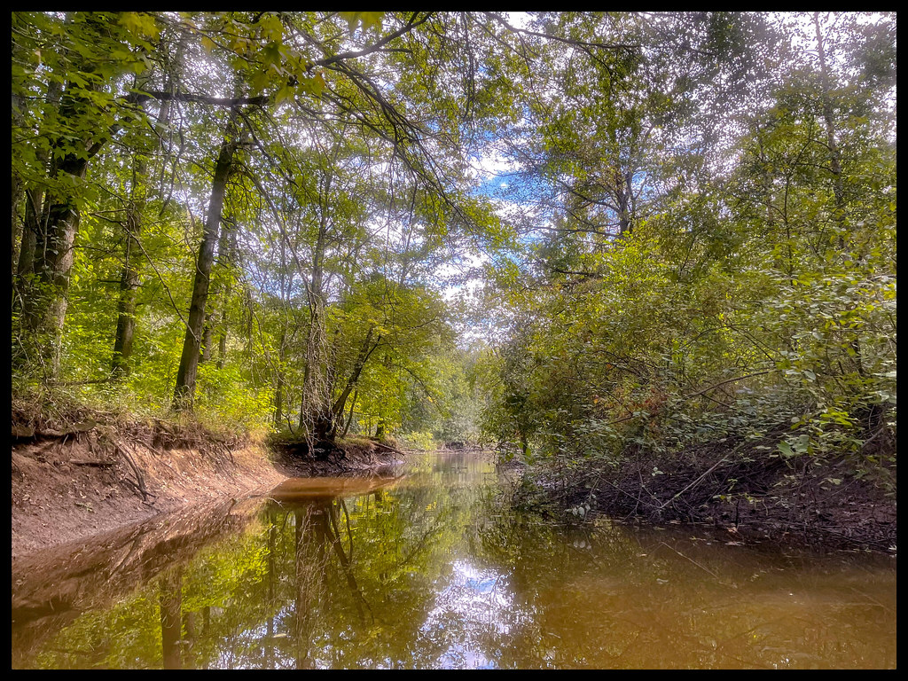 Great Piece Meadows Passaic River side channel Flickr